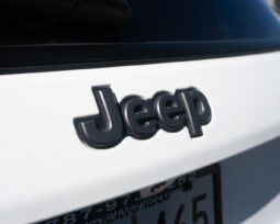 
										JEEP TRAILHAWK full									